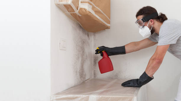 Professional Mold Inspection And Testing technician working in Bedford, MA